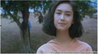 郑佩佩娱乐圈爆料,那些不为人知的幕后故事  第3张